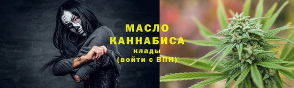 гашик Осинники