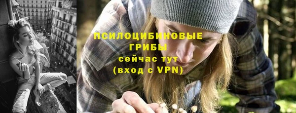 гашик Осинники