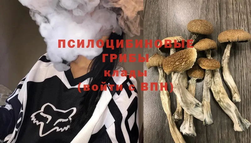 Псилоцибиновые грибы Magic Shrooms  магазин  наркотиков  Алушта 