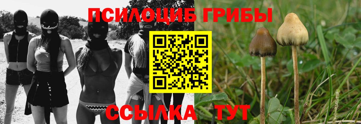 Псилоцибиновые грибы мицелий  Алушта 